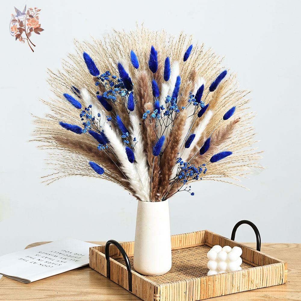 Dried Flower Bulk - 70 Stem Blue Fluffly หางกระต่าย Pampas