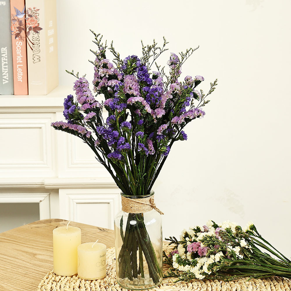 Dried Flower Bulk - 100g ธรรมชาติจริงลืม-me-not ดอกไม้ช่อดอกไม้ผสมหญ้า Limonium สําหรับคู่แฟนโรแมนติกของขวัญพืชแห้ง Bundle