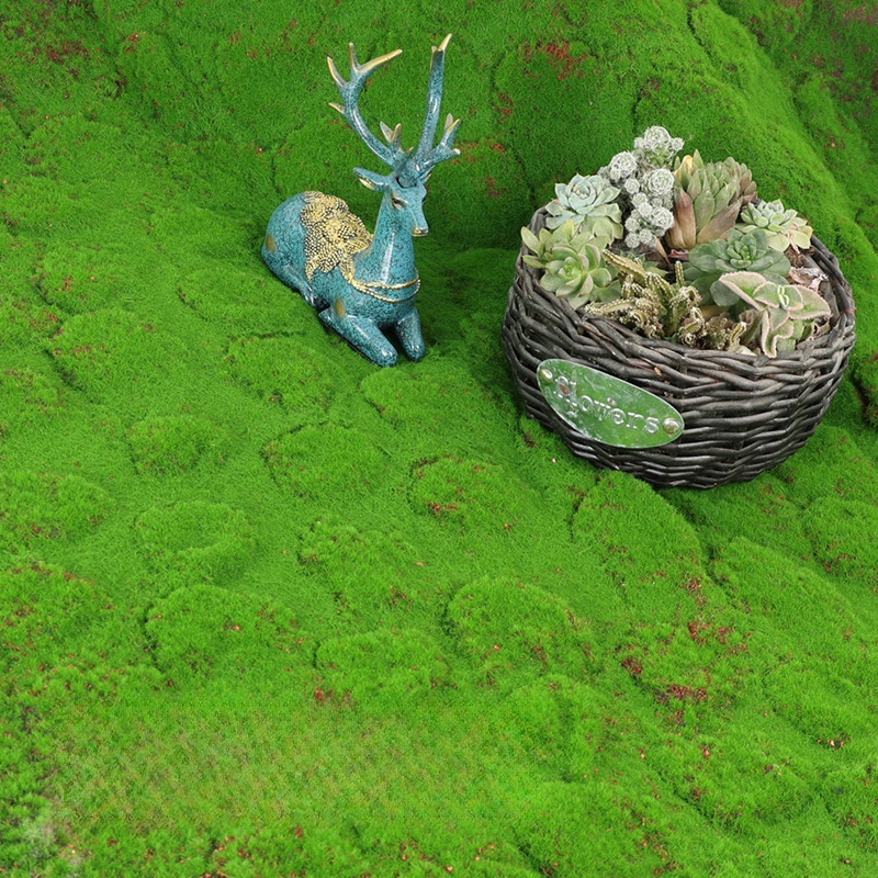 สนามหญ้าประดิษฐ์ Moss จําลองทุ - Terrarium Moss Art บทวิจารณ์และราคา