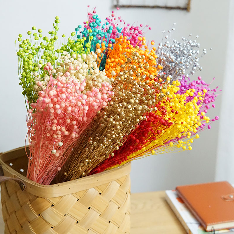 ดอกออร์โมเซีย โฮเซีย แห้ง 35 ก - Dried Flower Bulk บทวิจารณ์และราคา
