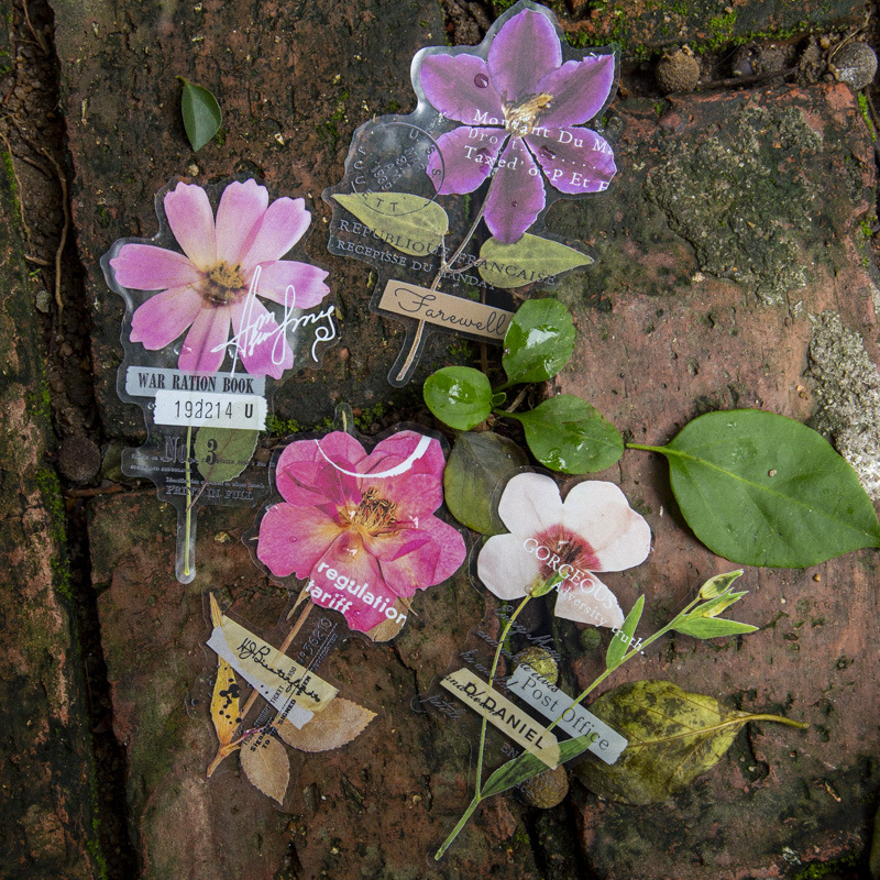 สติกเกอร์ชุดบ้านดอกไม้ขนาดใหญ่ - Dried Flower Bulk บทวิจารณ์และราคา