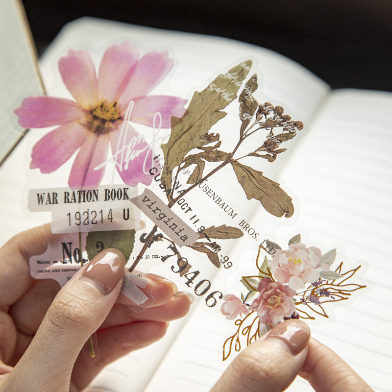 สติกเกอร์ชุดบ้านดอกไม้ขนาดใหญ่ - Dried Flower Bulk บทวิจารณ์และราคา