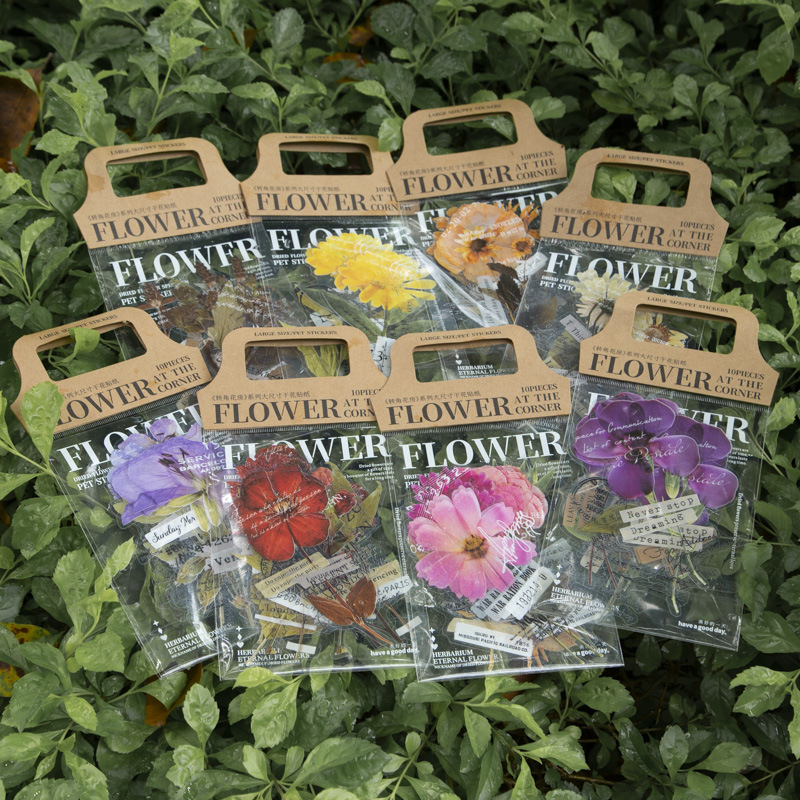 สติกเกอร์ชุดบ้านดอกไม้ขนาดใหญ่ - Dried Flower Bulk บทวิจารณ์และราคา