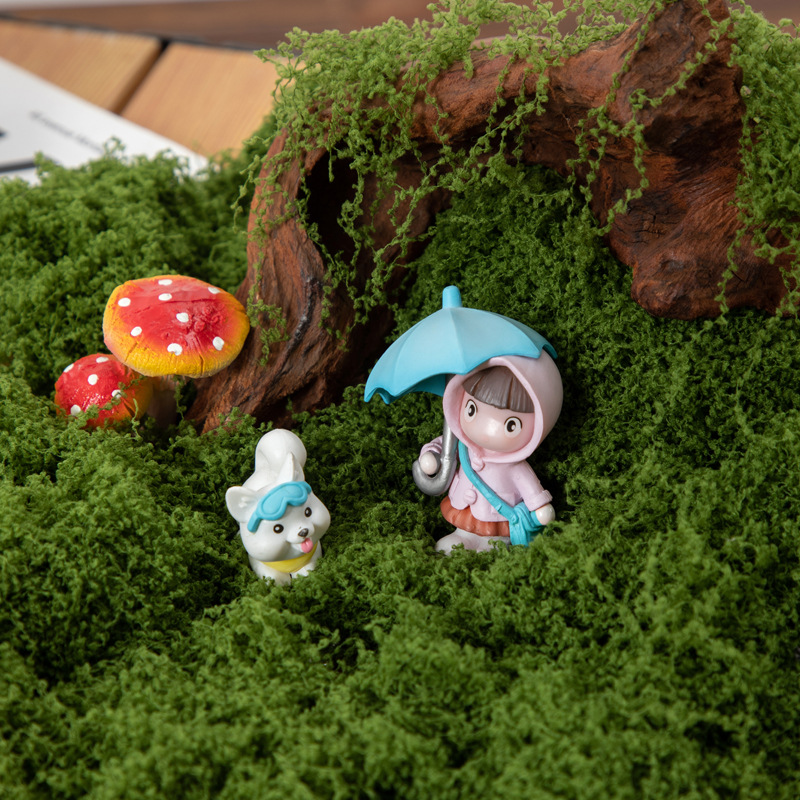 มอสอมตะ 200 กรัม สำหรับงาน DIY - Terrarium Moss Art บทวิจารณ์และราคา