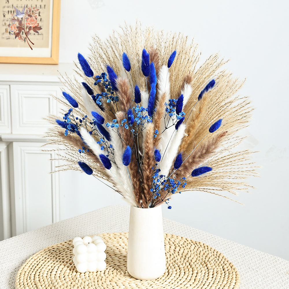 70 Stem Blue Fluffly หางกระต่า - Dried Flower Bulk บทวิจารณ์และราคา