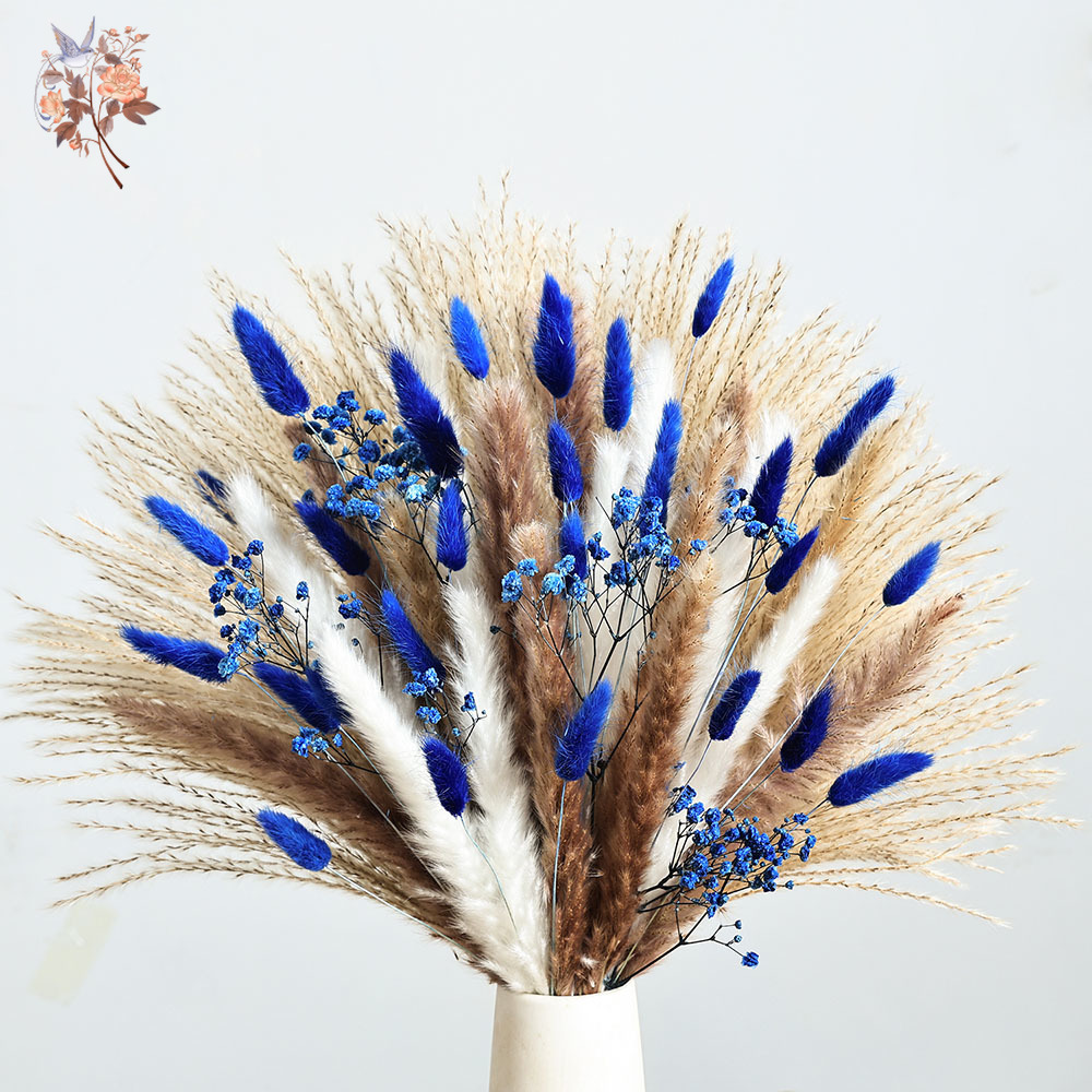 70 Stem Blue Fluffly หางกระต่า - Dried Flower Bulk บทวิจารณ์และราคา