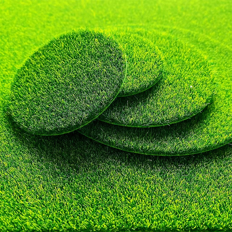มอสเทียมทรงกลม 5/10 ชิ้น หญ้าป - Terrarium Moss Art บทวิจารณ์และราคา