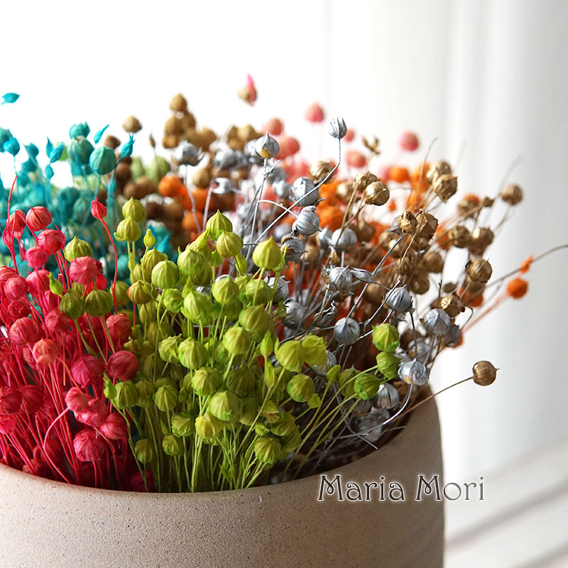 5g Preserved Flax Bean ดอกไม้ธ - Dried Flower Bulk บทวิจารณ์และราคา