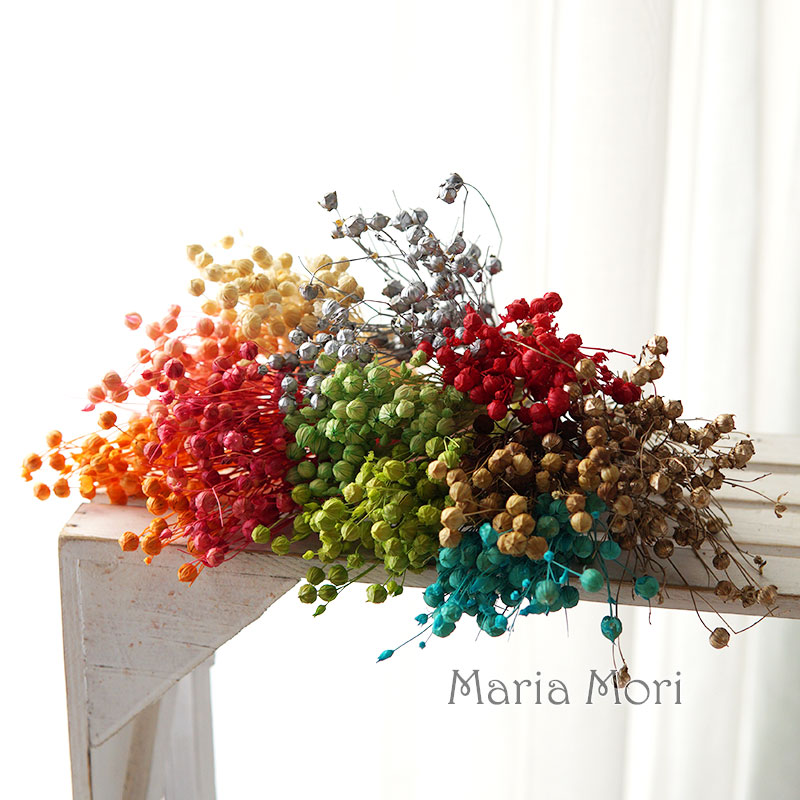 5g Preserved Flax Bean ดอกไม้ธ - Dried Flower Bulk บทวิจารณ์และราคา