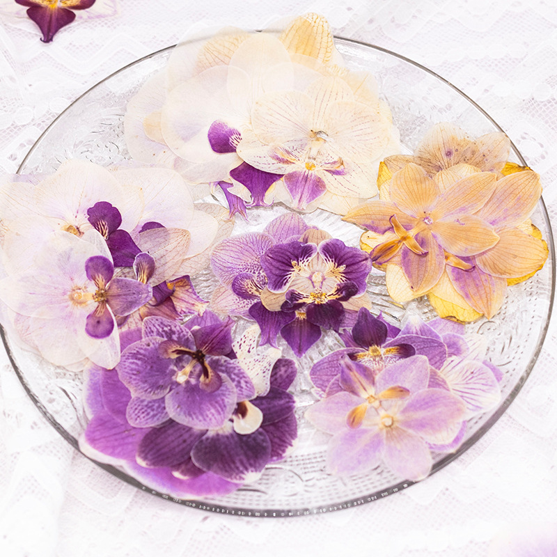 ดอกกล้วยไม้ฟาแลนนอปซิสแห้งอัด  - Dried Flower Bulk บทวิจารณ์และราคา