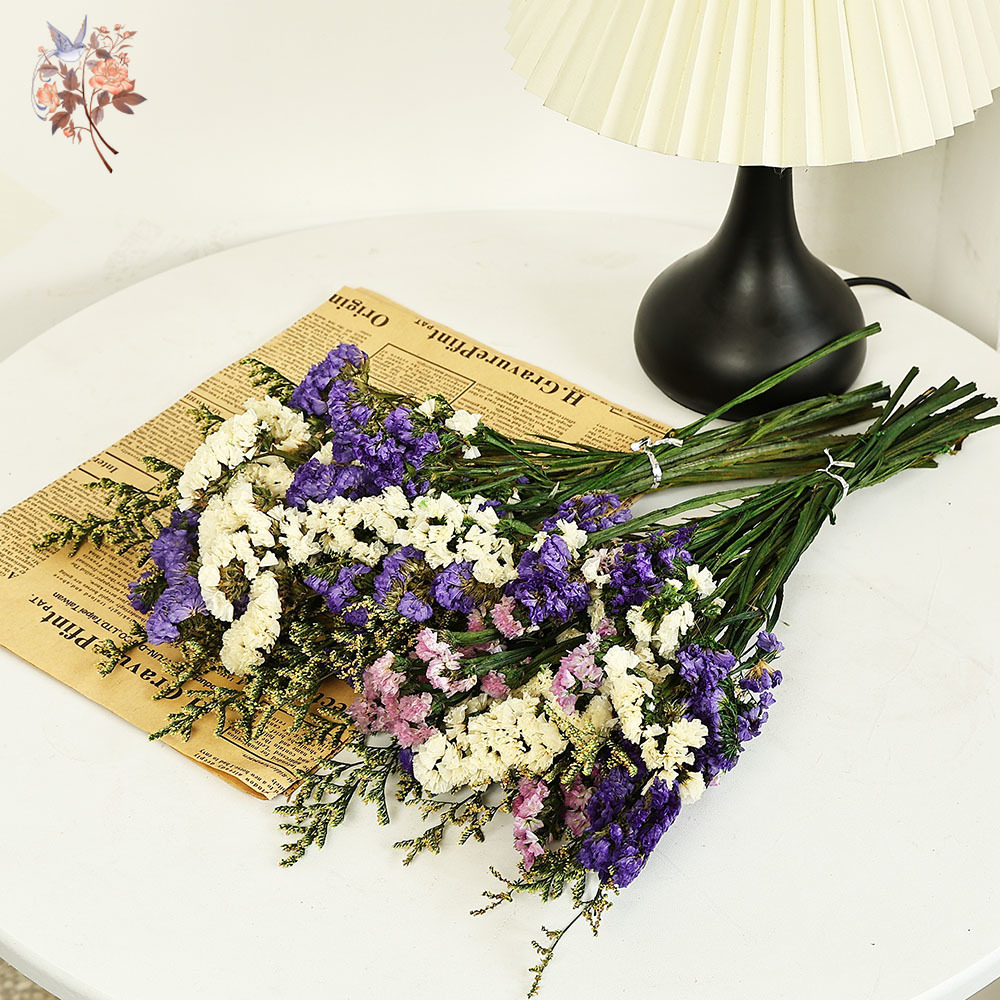 100g ธรรมชาติจริงลืม-me-not ดอ - Dried Flower Bulk บทวิจารณ์และราคา