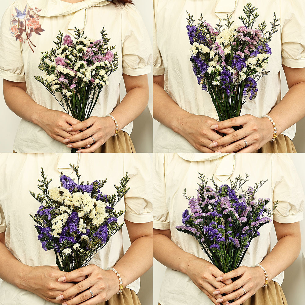 100g ธรรมชาติจริงลืม-me-not ดอ - Dried Flower Bulk บทวิจารณ์และราคา