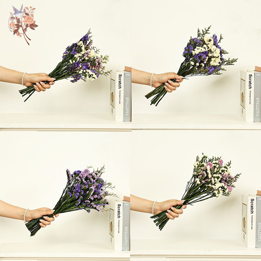 100g ธรรมชาติจริงลืม-me-not ดอ - Dried Flower Bulk บทวิจารณ์และราคา