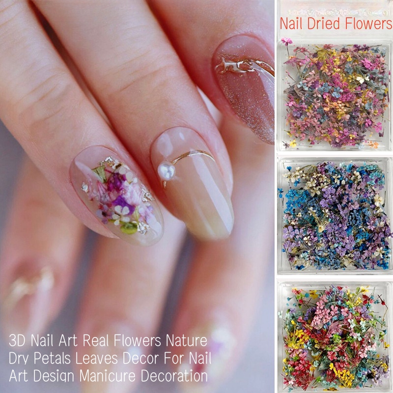 ผสมดอกไม้แห้งขนาดเล็กเล็บดอกไม - Dried Flower Bulk บทวิจารณ์และราคา