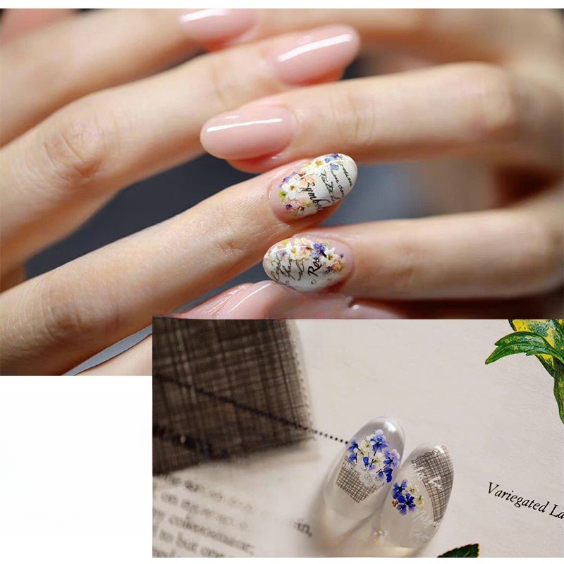 ผสมดอกไม้แห้งขนาดเล็กเล็บดอกไม - Dried Flower Bulk บทวิจารณ์และราคา